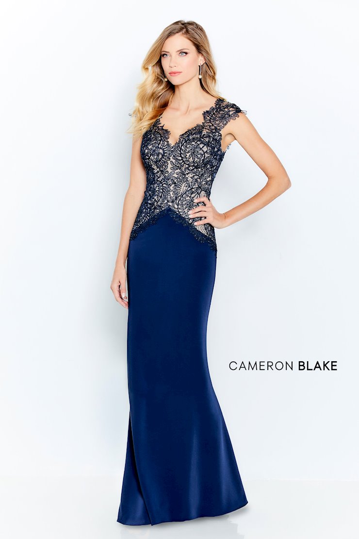Cap sleeve stretch satin fit and flare gown, illusion V-neckline and back, lace bodice with stone accents, inverted waistline, insert sweep train.  Sizes 4-20, 16W-26W  Available in Gray/Nude, Navy Blue/Nude  If we do not have your desired size or color in stock please call or email us for availability!